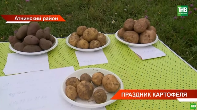 Праздник картофеля отметили в Атнинском районе Татарстана