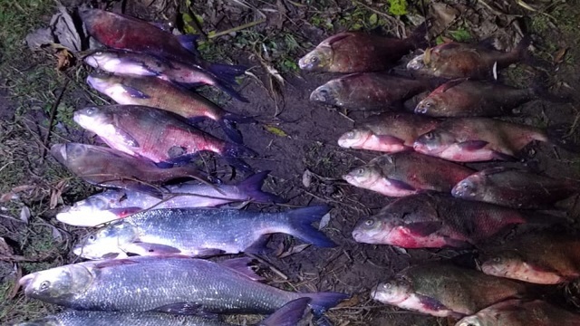 В Татарстане задержали граждан, рыбачащих в заповедной зоне