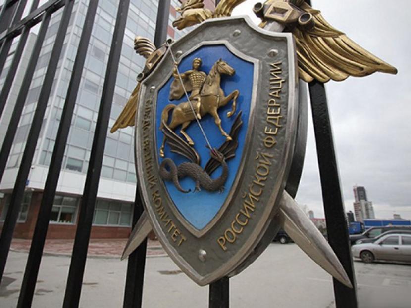 Жительницу Татарстана подозревают в истязании дочери