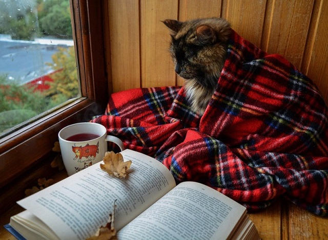 Шимбә Татарстанда сизелерлек суытачак