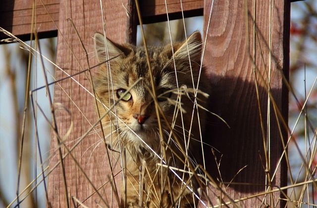 Четвертый за март температурный рекорд зафиксирован в Казани