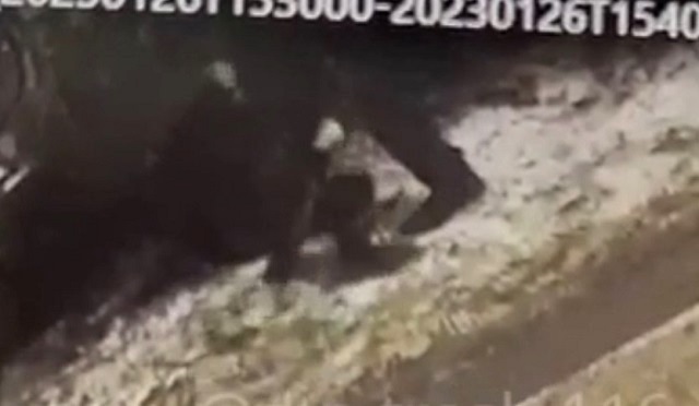 Полиции не удалось задержать злодея, забившего насмерть молотком прохожую в Казани