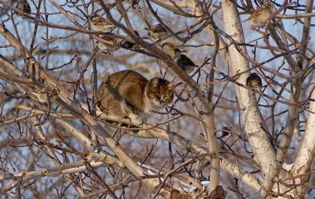 Северный ветер несет в Татарстан похолодание до -2 градусов