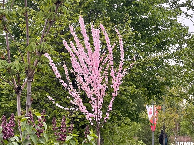 День Победы Татарстан встретит небольшими дождями и теплом до +17 градусов