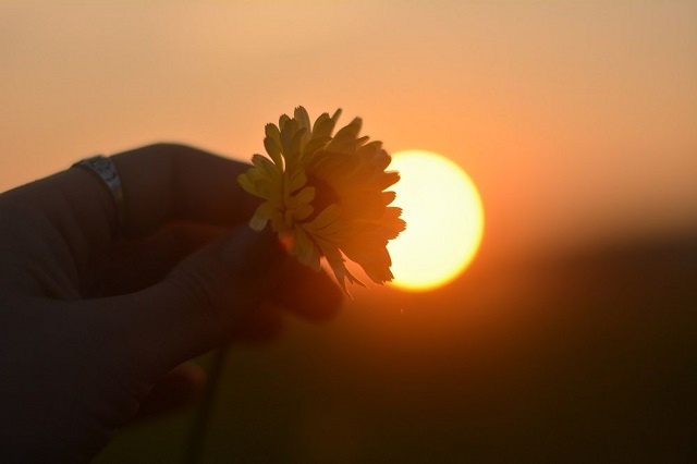 В Татарстан вернулась аномально жаркая погода