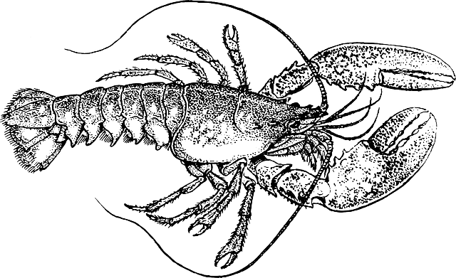 Дело браконьеров из Болгара, незаконно добывших раков на 2,6 млн рублей, ушло в суд