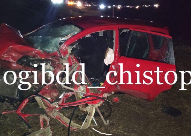 В Татарстане выбежавший на дорогу кабан спровоцировал смертельное ДТП