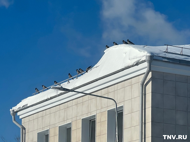 Опасные морозы: до -26 градусов рухнет температура воздуха в Татарстане