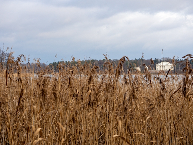 Пожароопасный сезон в Татарстане хотят установить с 15 апреля
