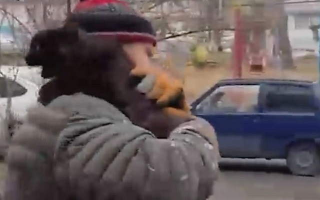 Спасение прятавшегося три дня от шторма на дереве кота попало на видео в Татарстане