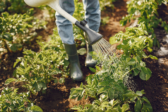 Эксперт рассказал, как садоводам сэкономить на «коммуналке»
