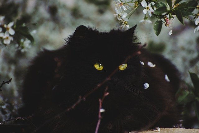 5 мая на Татарстан обрушится порывистый ветер до 20 м/с