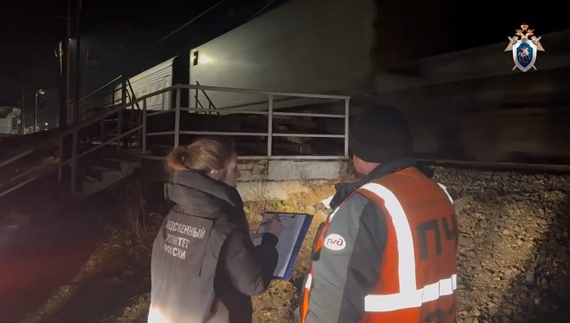 63-летний житель Татарстана погиб, перебегав ж/д пути в неположенном месте