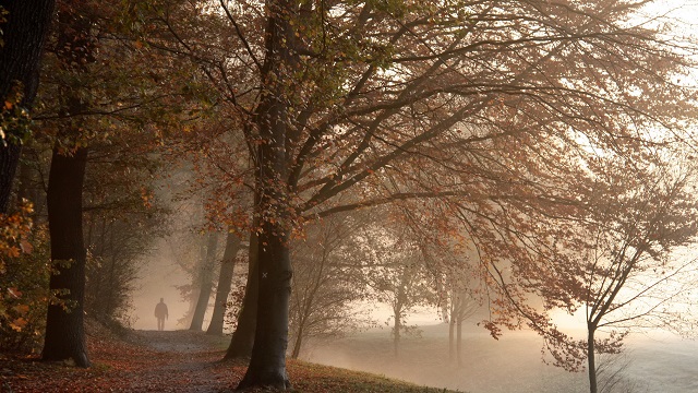 Туман, гололедица и до +9 градусов ожидаются в Татарстане 17 октября