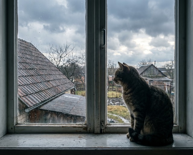 Мокрый снег и похолодание до -4 градусов: непогода в Татарстане не отступает