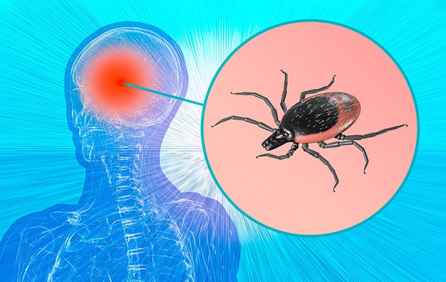 Сезон активности клещей близко: жителям Татарстана дали рекомендации по защите