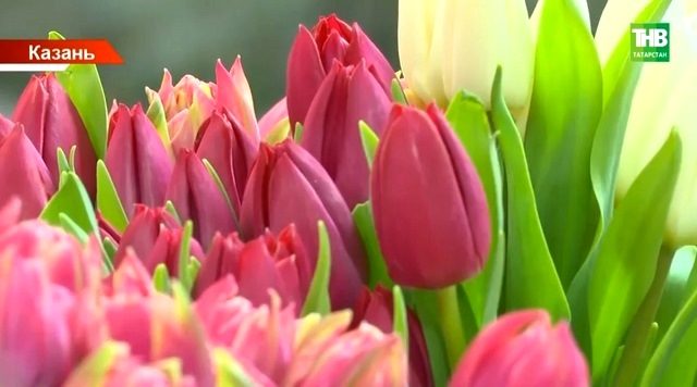 Стало известно, во сколько обойдется букет тюльпанов в Казани и с чем связан рост цен