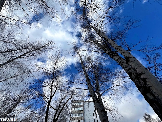 «Плюс» и ночью и днем: на Татарстан надвигается мартовское тепло до +8 градусов