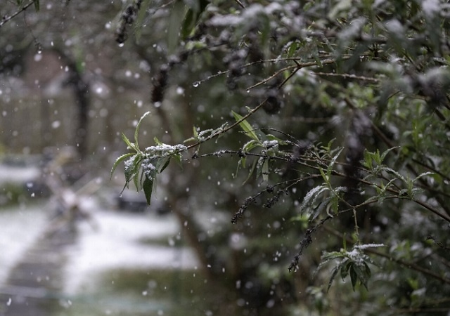 Казанцы сняли на видео первый осенний снег