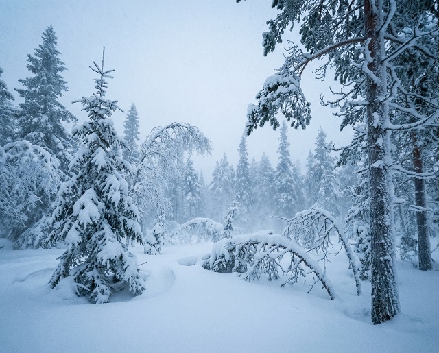 Южный циклон обрушит на Татарстан до месячной нормы осадков