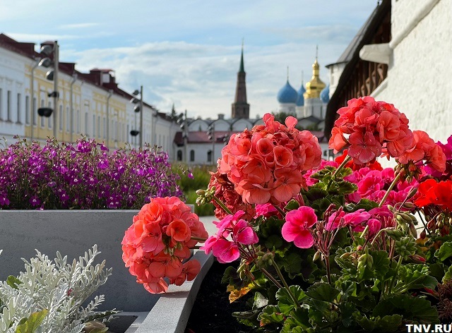 Характерная для пустынь жара накроет центр России