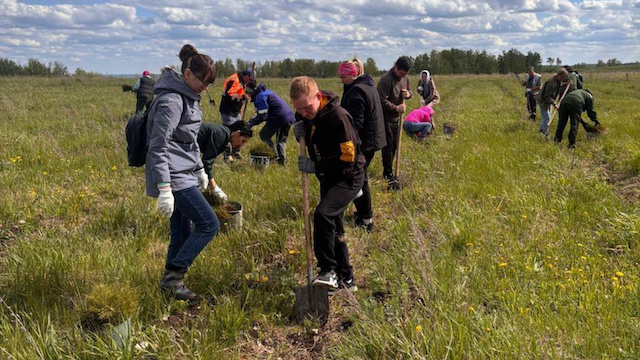 «Сад Памяти»: в Бавлах высадили более 1 000 саженцев в честь героев