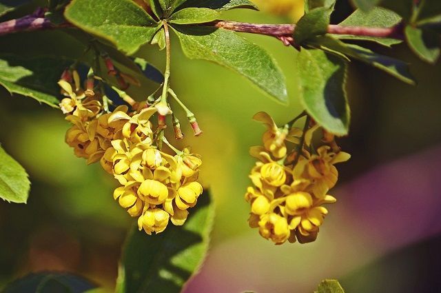 В 2021 году в Татарстане на нацпроект «Экология» выделили 1,7 млрд рублей