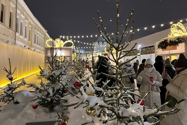 Доцент КФУ: такого морозного начала января в Татарстане не было более четверти века