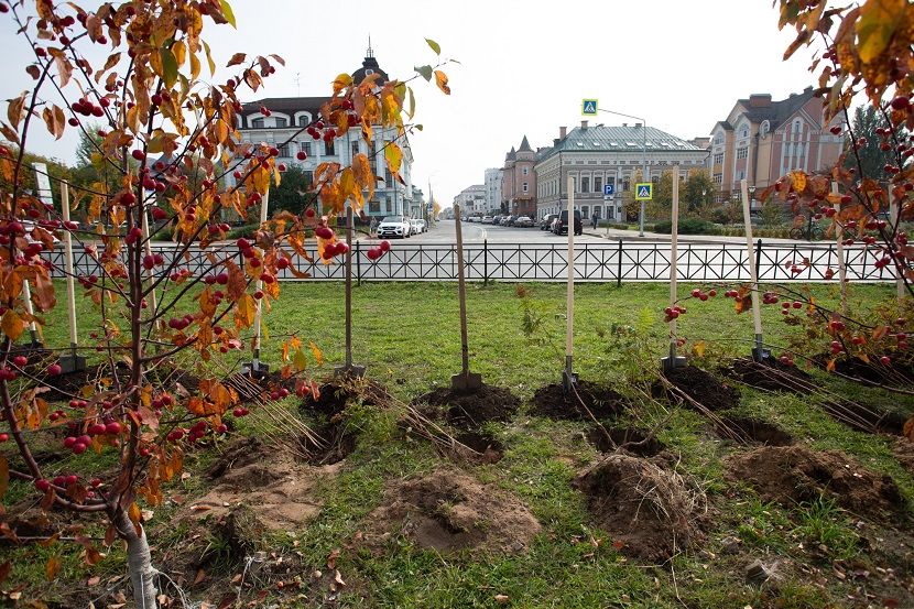 На улице Петербургской в Казани высадили «Аллею туризма»