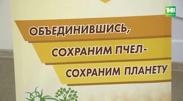 Массовый мор и нехватка кадров: пчеловоды Поволжья обсудили вызовы в Казани