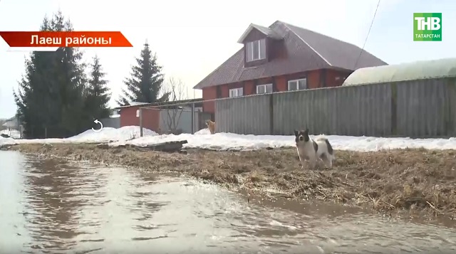 30 бала дәрескә бара алмаган: Астраханкада ярты авылны су баскан