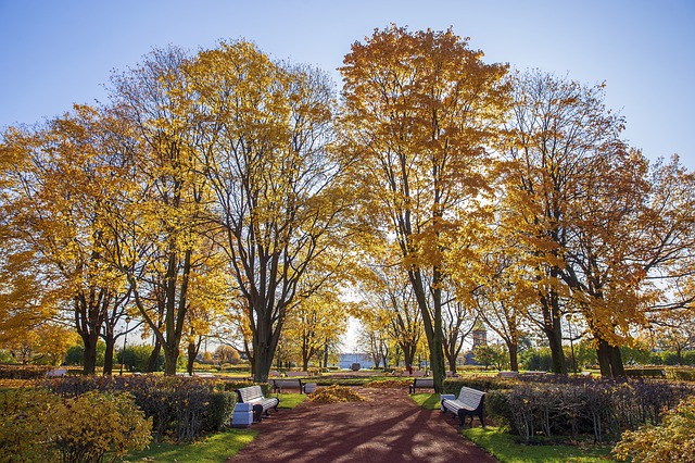 В Казани появился сквер 100-летия образования строительной отрасли РТ	