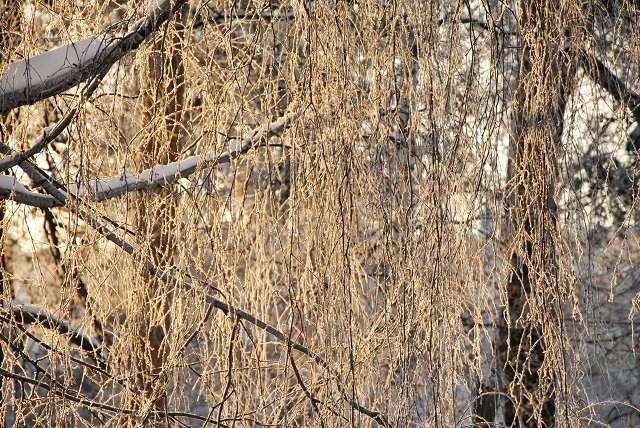 Профессор КФУ рассказал, какая погода ждет Казань в декабре