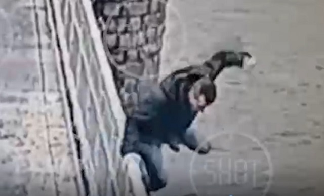 Из «Лады» в Неву: в Петербурге автомобилист после ДТП сиганул с моста — видео