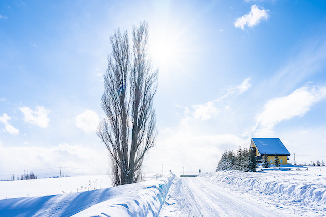Климатолог КФУ объяснил феномен крещенских морозов