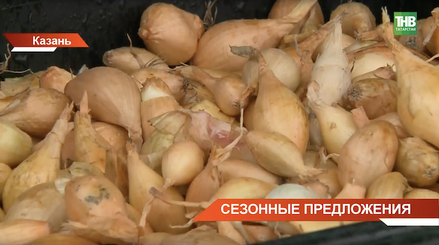 Дачникам рассказали, как хранить лук, чтобы он пережил зиму