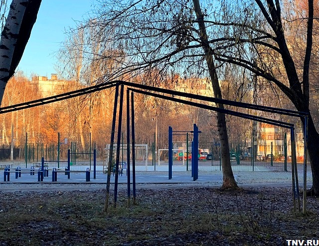 Вильфанд ответил, как долго продлится теплый период предзимья в России