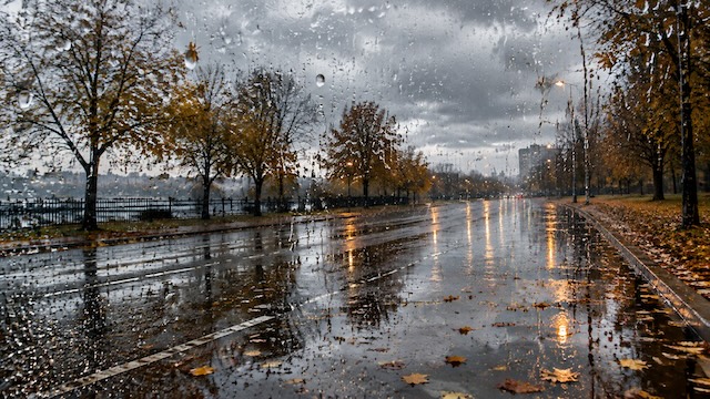 Сильные дожди и грозы ожидаются в Москве на этой неделе