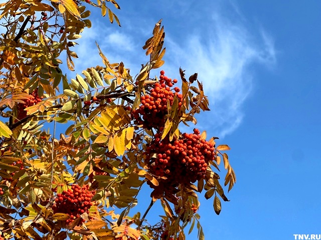 Дневные температуры в Татарстане понизятся до +6 градусов