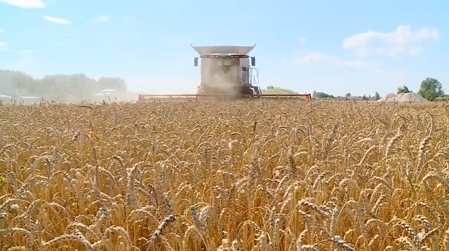 Какого урожая ждут аграрии Спасского района Татарстана?