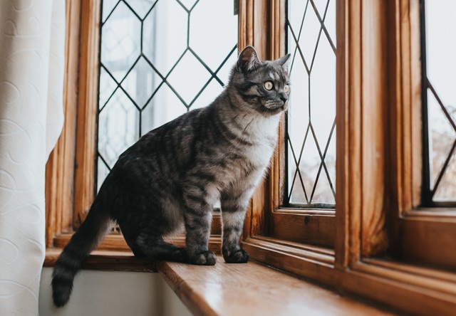 Тепло до +7 градусов ночью и днем и сильные осадки ждут Татарстан