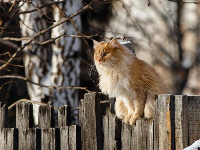 14 апрельдә Татарстанда сизелерлек суытачак. Көчле җил көтелә