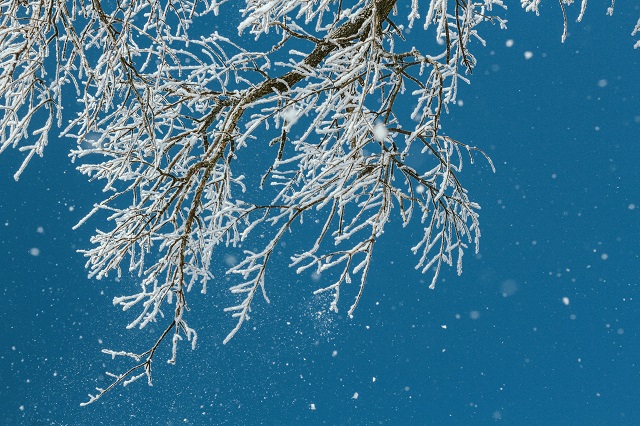 В центре «Фобос» объяснили причину нервного и контрастного характера погоды будущей зимой