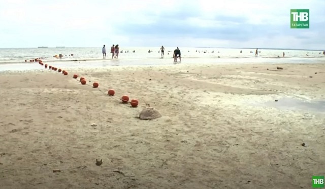 Испещренное лужами поле: стало известно, что происходит с Волгой на самом деле