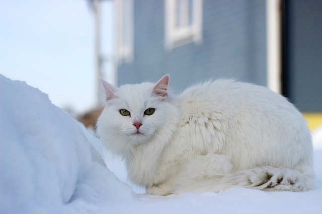 Мороз до -18 градусов, туман и небольшие снегопады ожидаются в Татарстане 5 февраля