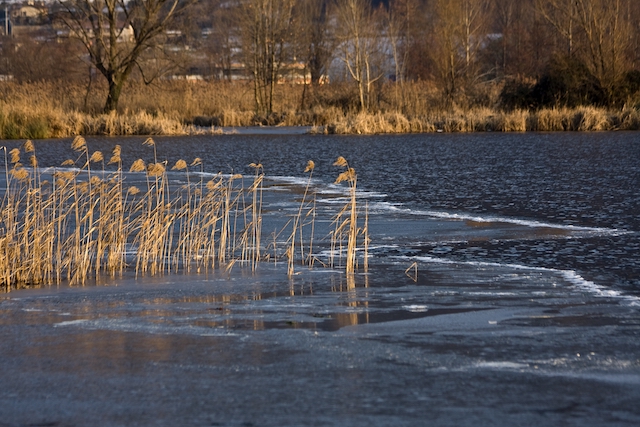 Жителей Поволжья предупредили о мощных паводках этой весной