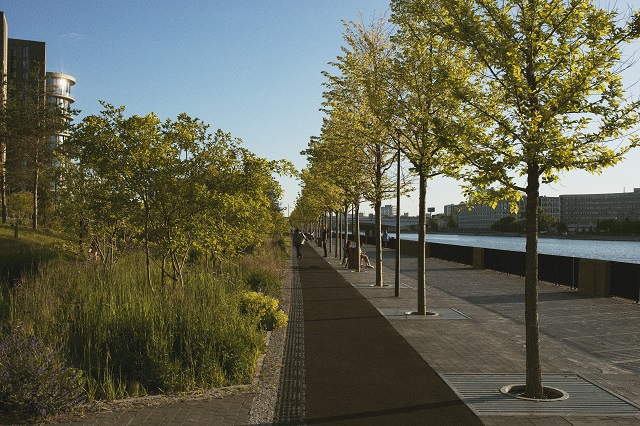 В сквере у железнодорожного вокзала в Казани высадят деревья и кустарники