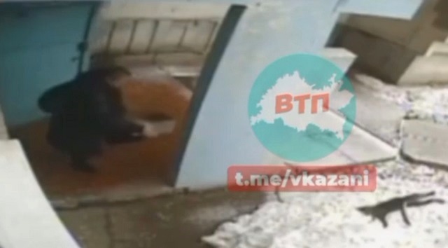 Разъяренная жительница Набережных Челнов жестоко вышвырнула кошку из подъезда – видео
