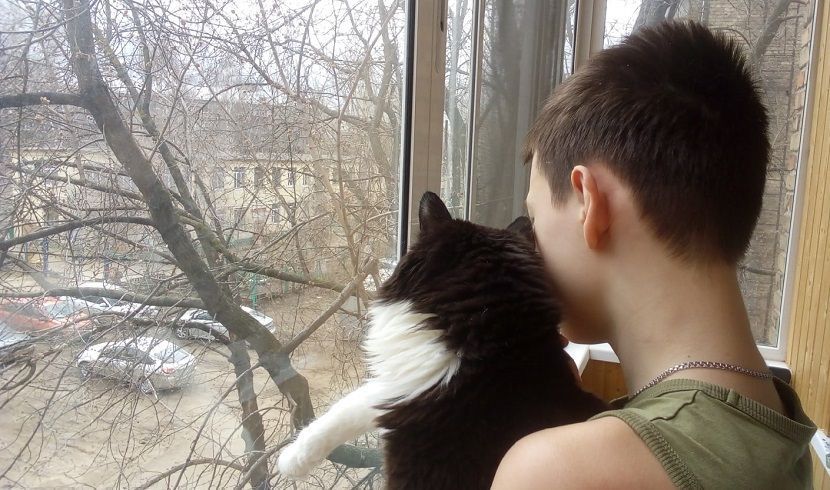 «Яндекс» повысил оценку способности жителей Казани к самоизоляции до 4,1 балла