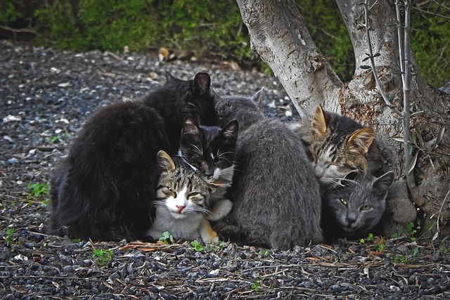 6 мая в Татарстане сохранится промозглая погода